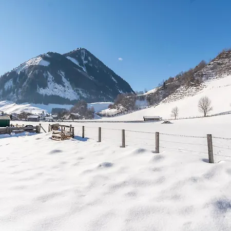 Traunerfeld Rauris